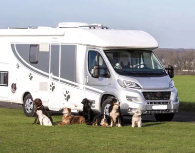 Pet-Friendly RV Rentals in Canada: What You Need to Know